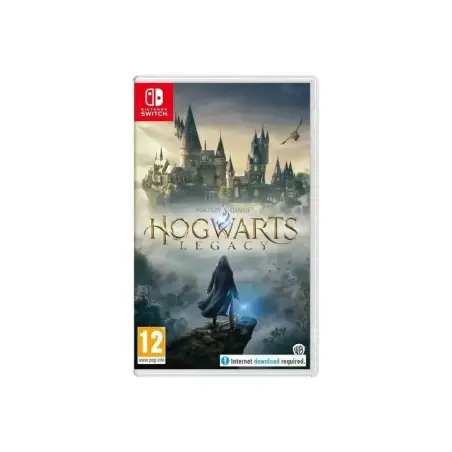 Hogwarts Legacy - Jeu Nintendo